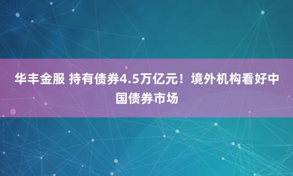 华丰金服 持有债券4.5万亿元！境外机构看好中国债券市场