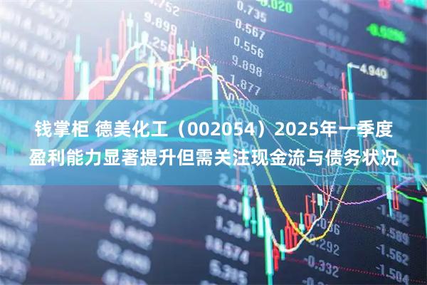 钱掌柜 德美化工（002054）2025年一季度盈利能力显著提升但需关注现金流与债务状况