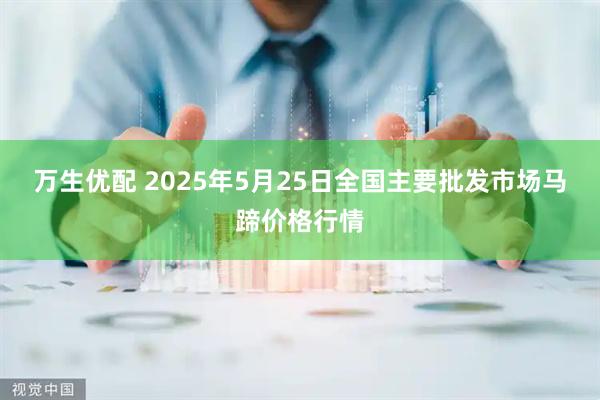 万生优配 2025年5月25日全国主要批发市场马蹄价格行情