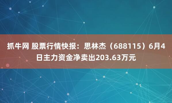 抓牛网 股票行情快报：思林杰（688115）6月4日主力资金净卖出203.63万元