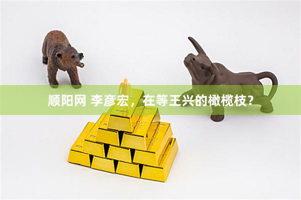 顺阳网 李彦宏，在等王兴的橄榄枝？