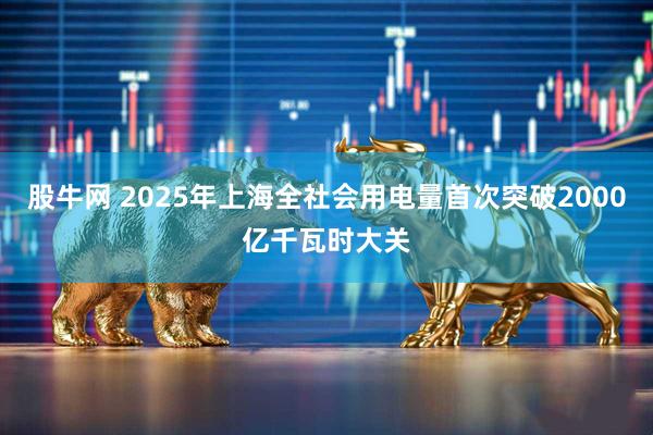 股牛网 2025年上海全社会用电量首次突破2000亿千瓦时大关