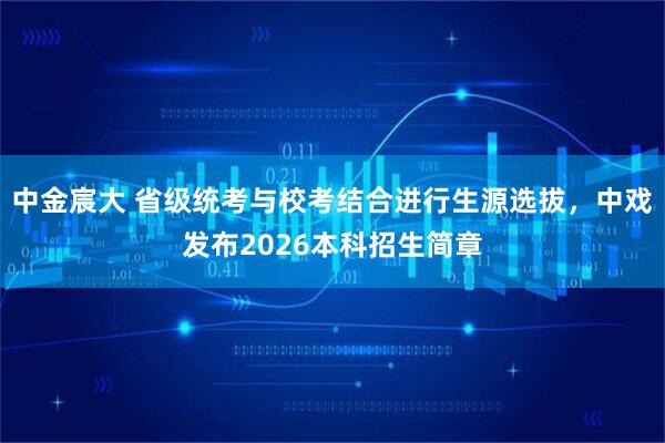 中金宸大 省级统考与校考结合进行生源选拔，中戏发布2026本科招生简章