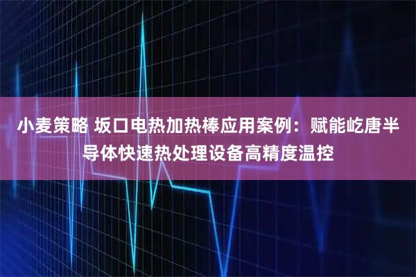 小麦策略 坂口电热加热棒应用案例：赋能屹唐半导体快速热处理设备高精度温控