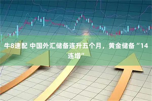 牛8速配 中国外汇储备连升五个月，黄金储备“14连增”