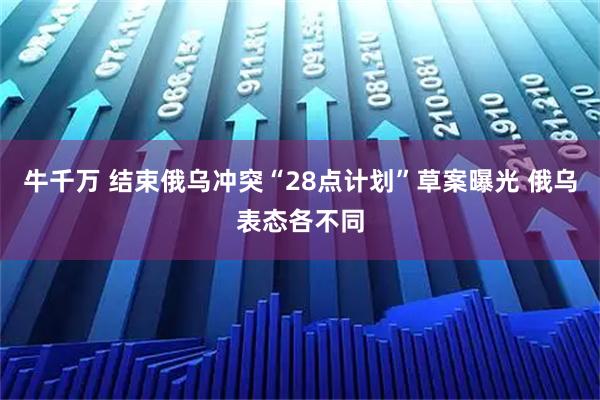 牛千万 结束俄乌冲突“28点计划”草案曝光 俄乌表态各不同