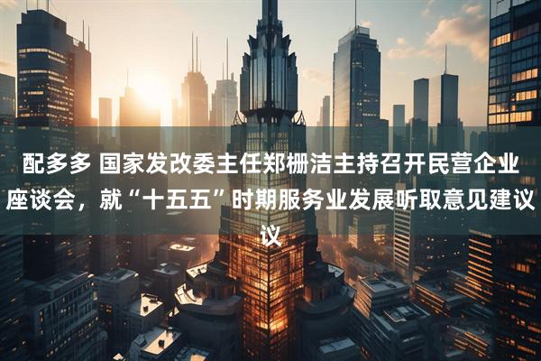 配多多 国家发改委主任郑栅洁主持召开民营企业座谈会,就“十五五”时期服务业发展听取意见建议