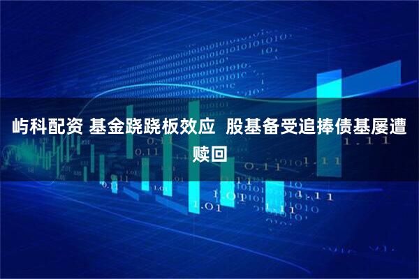 屿科配资 基金跷跷板效应  股基备受追捧债基屡遭赎回