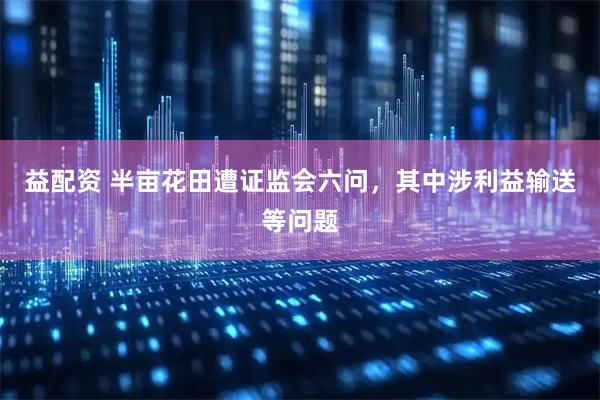 益配资 半亩花田遭证监会六问,其中涉利益输送等问题